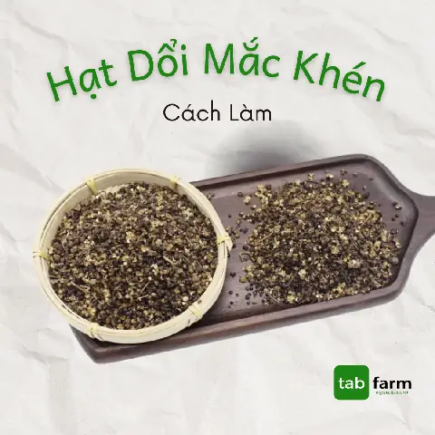 Mắc Khén Hạt Dổi Là Gì