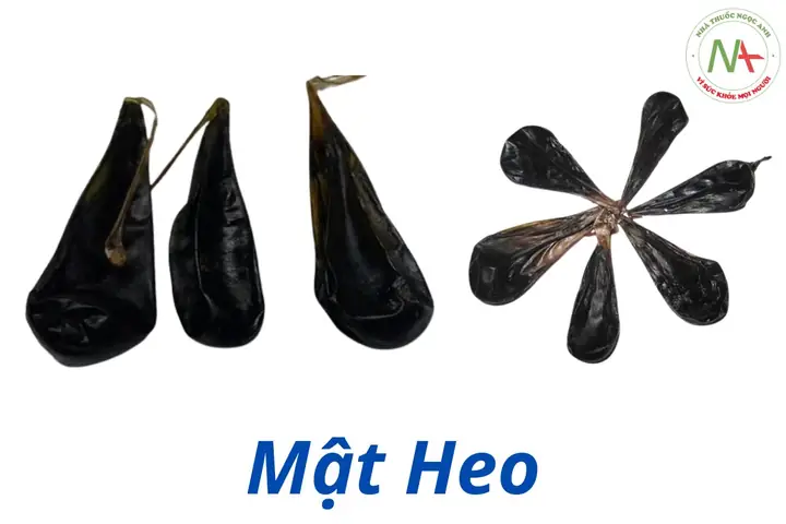 Mắt Heo Có Tác Dụng Gì