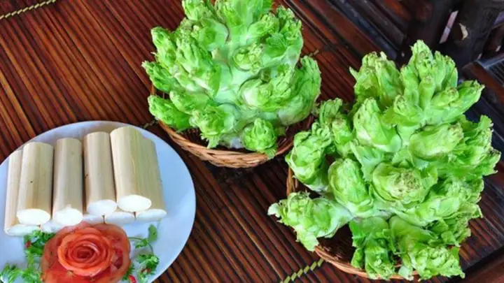 Món Mầm Đá Là Gì