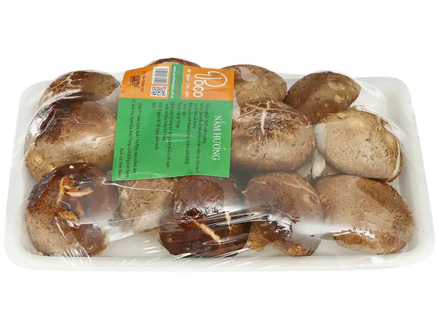 Mua Chân Nấm Khô Ở Đâu