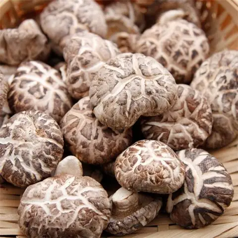 Nấm Đông Cô Tiếng Anh