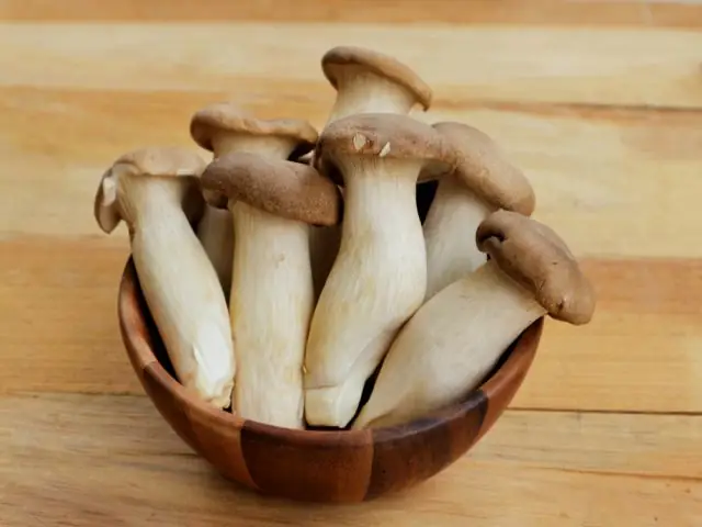 Nấm Đùi Gà Tiếng Anh