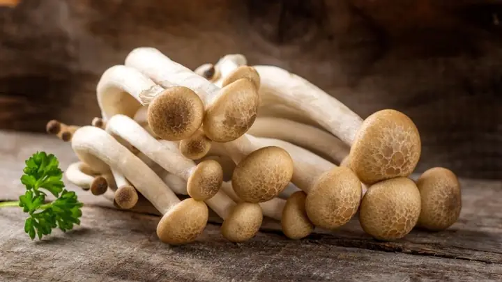 Nấm Hải Sản Bao Nhiêu Calo