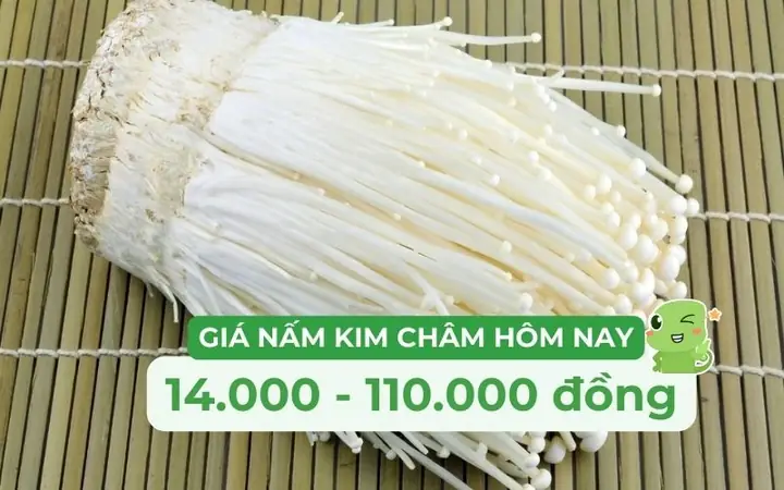 Nấm Kim Châm Giá Bao Nhiêu