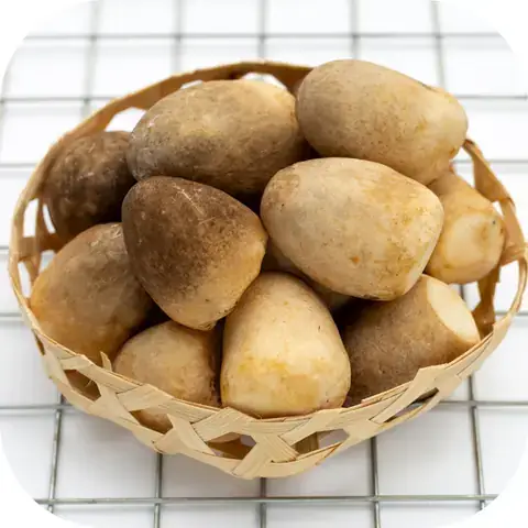 Nấm Rơm Nấu Bao Lâu Thì Chín