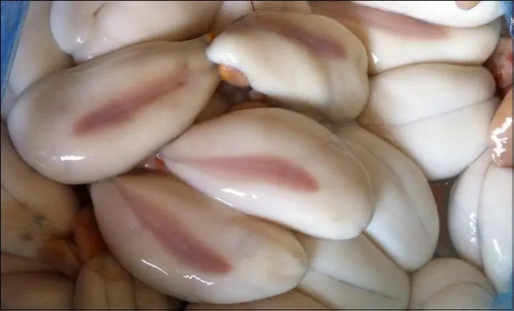Nang Mực Dùng Để Làm Gì
