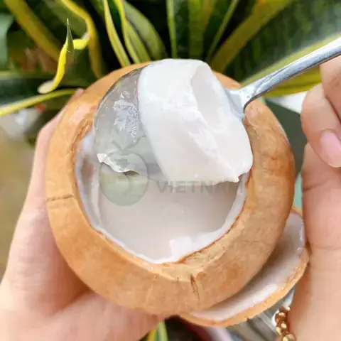 Nơi Bán Rau Câu Trái Dừa Ngon