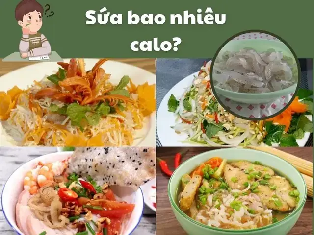 Nộm Sứa Bao Nhiêu Calo