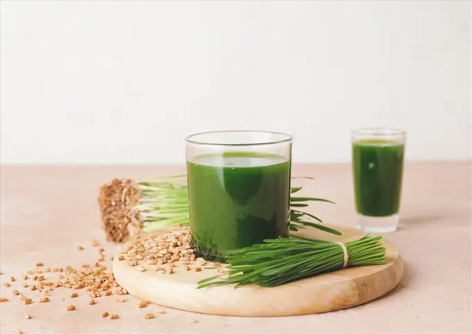 Nước Ép Cỏ Lúa Mì