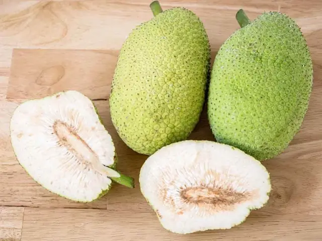 Quả Sake Có Tác Dụng Gì