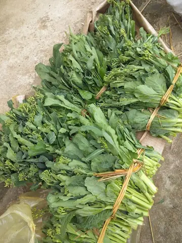 Rau Cải Ngồng Lạng Sơn