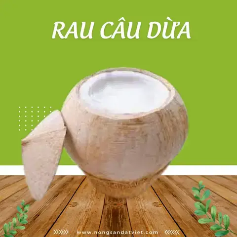 Rau Câu Dừa Đà Nẵng