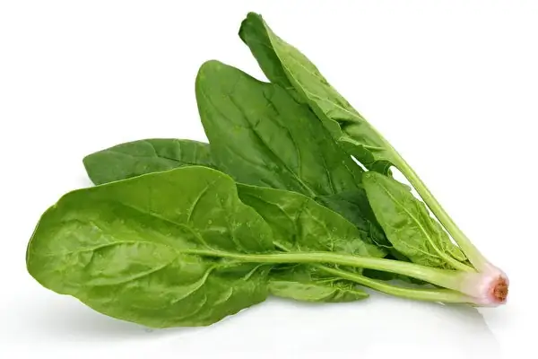 Rau Spinach Là Rau Gì