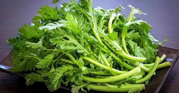 Rau Tần Ô Là Rau Gì