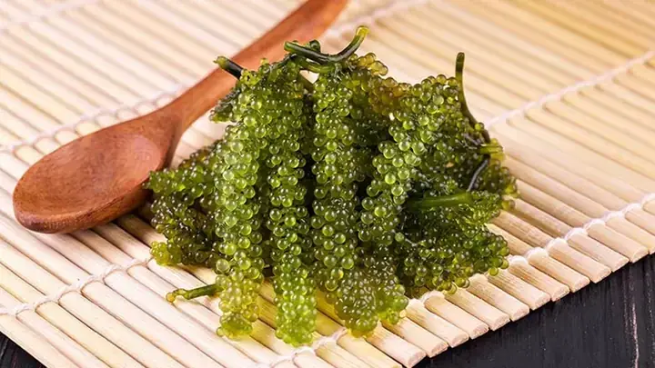 Rong Nho Ăn Sống Được Không