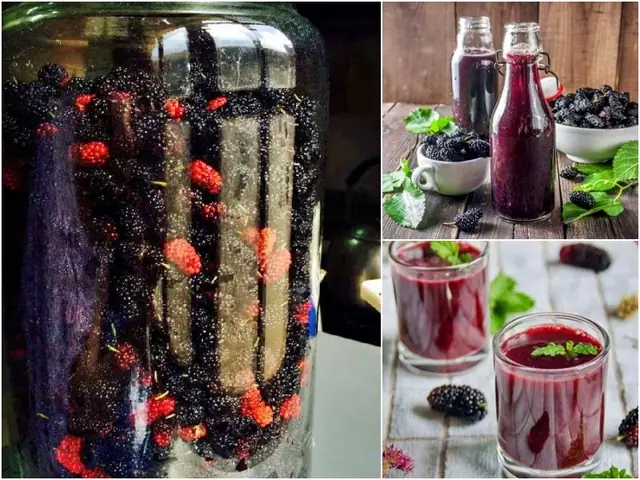 Rượu Dâu Tằm Đà Lạt Rượu Dâu Tằm Đà Lạt