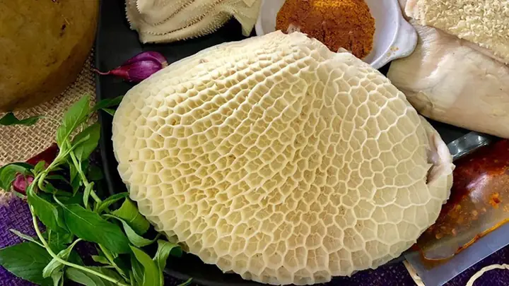 Sách Bò Hay Xách Bò