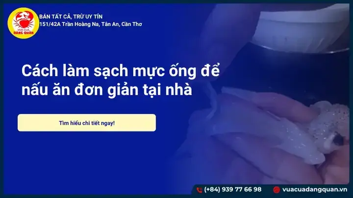 Sơ Chế Mực Ống Nhỏ