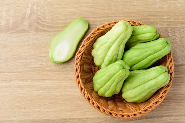 Su Hào Kỵ Với Gì