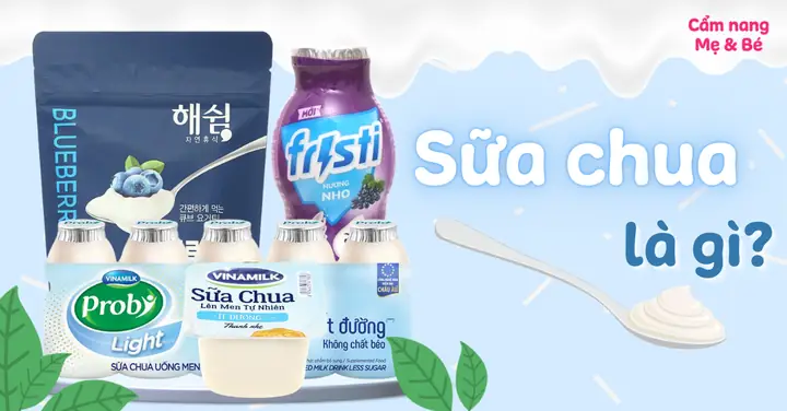 Sữa Chua Làm Từ Gì
