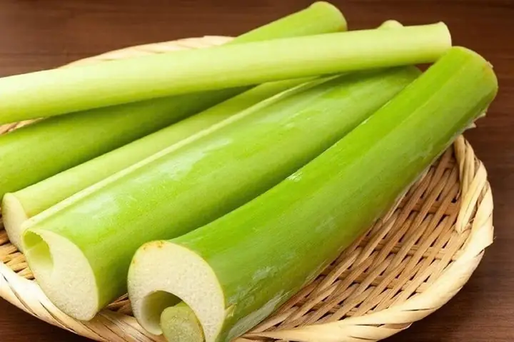 Tác Dụng Của Cây Bạc Hà Nấu Canh Chua