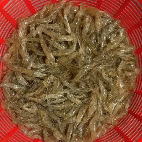 Tép Rang Bao Nhiêu Calo