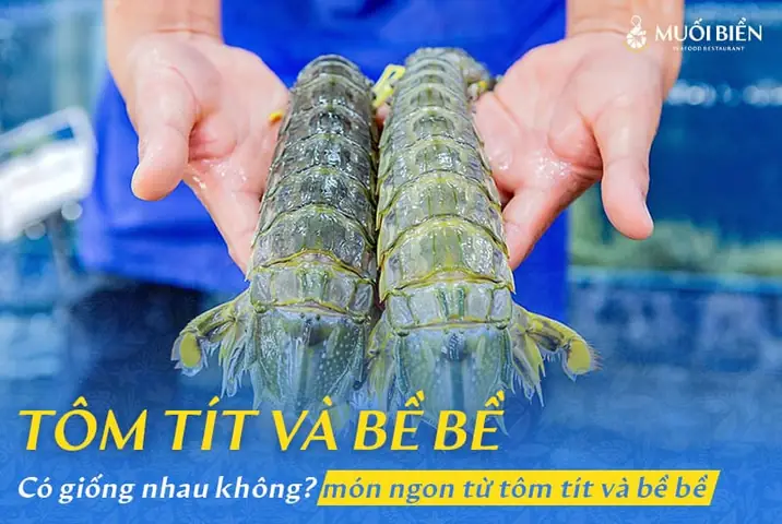 Tôm Tít Và Bề Bề