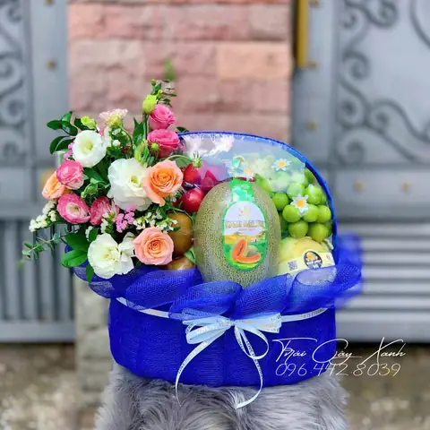 Trái Cây Màu Xanh Dương