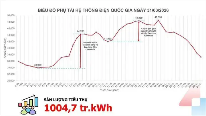 Trám Đen Bao Nhiêu Tiền 1kg