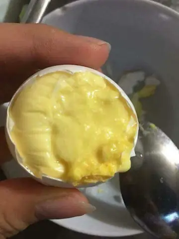 Trứng Óc Đậu Là Gì