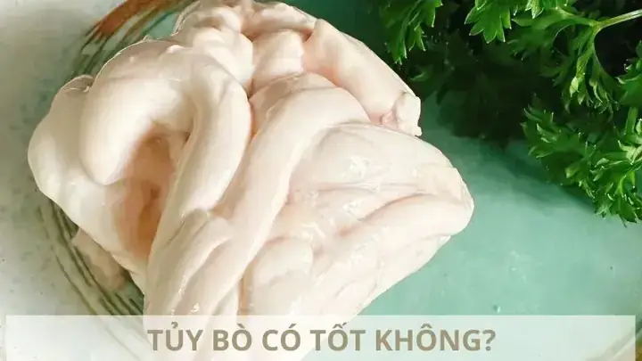 Tủy Bò Có Tác Dụng Gì