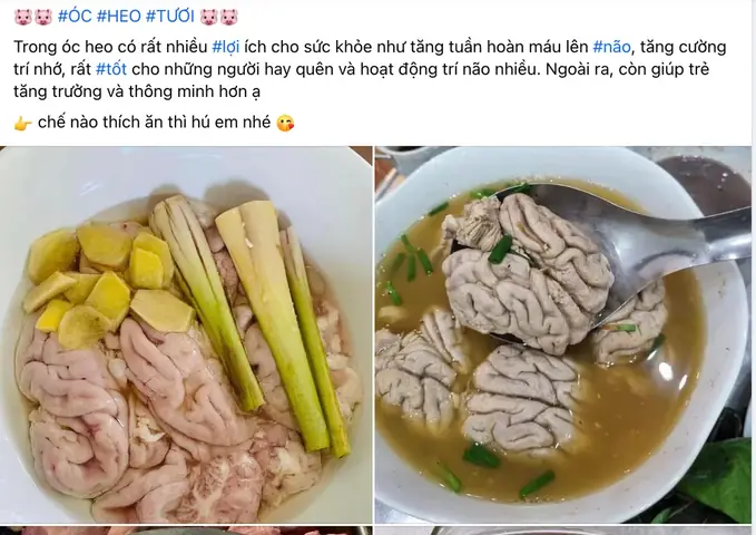 Tủy Heo Có Tác Dụng Gì