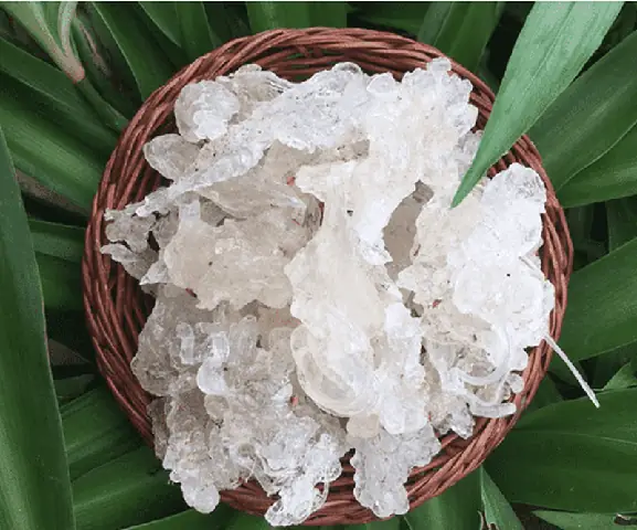 Tuyết Yến Tiếng Anh Là Gì
