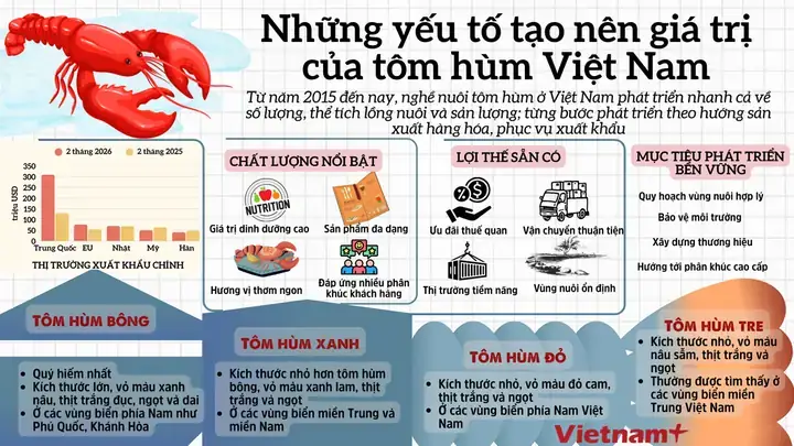 Viet Thao An Tom Hum