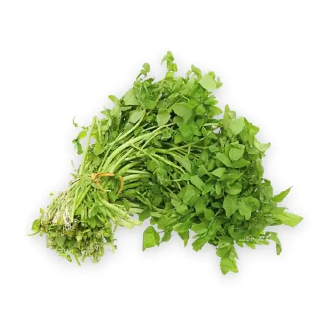 Xà Lách Son Đà Lạt