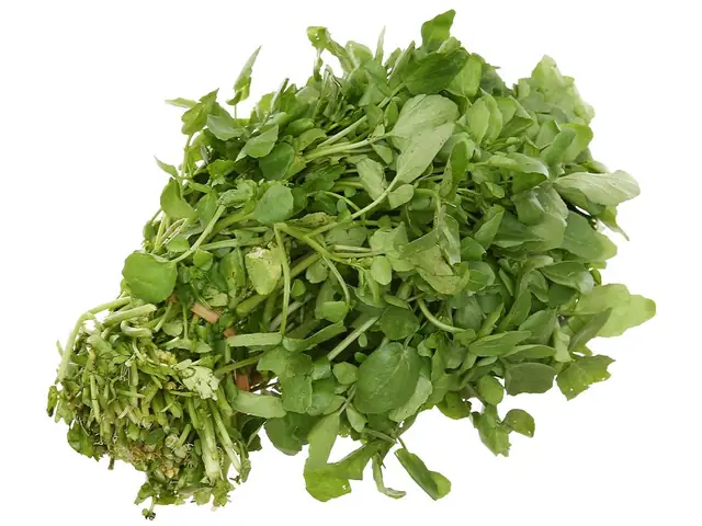 Xà Lách Xoong Đà Lạt