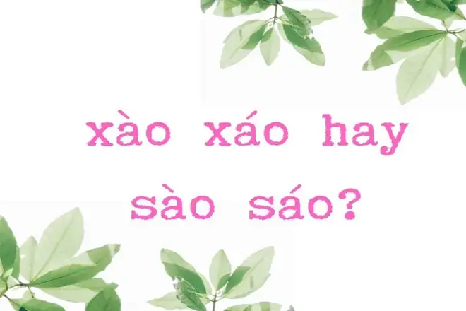 Xào Nấu Hay Sào Nấu
