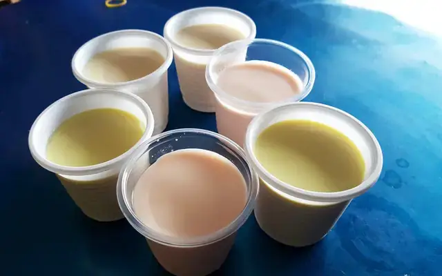 Yaourt Phô Mai Tươi Ngọc Nhung