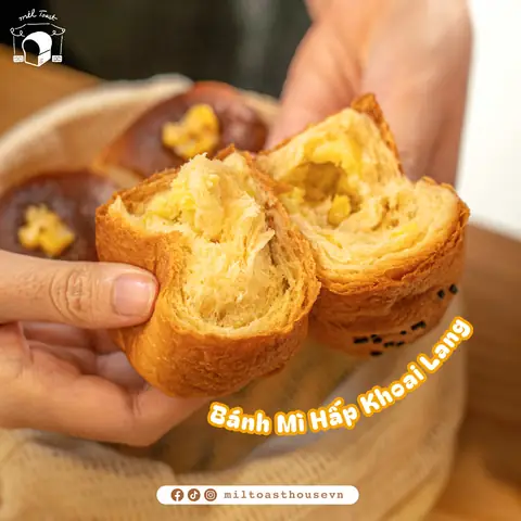 Bánh Mì Hấp Hàn Quốc