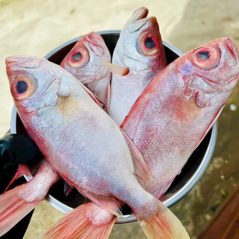Cá Bã Trầu Kho Tiêu