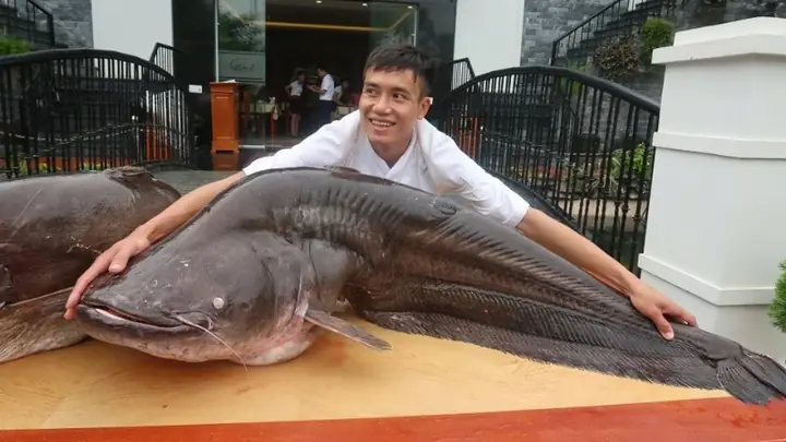 Cá Nheo Là Cá Gì