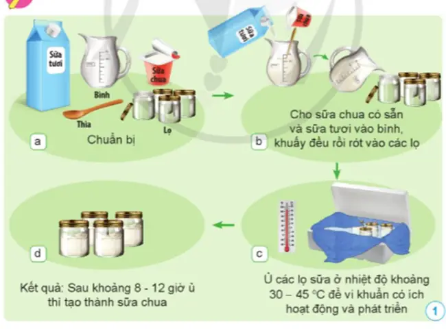 Các Bước Làm Sữa Chua