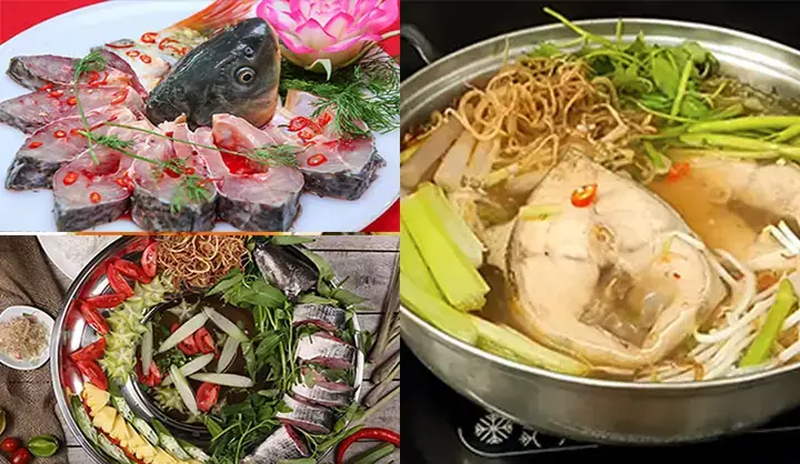 Các Loại Cá Dùng Để Nấu Lẩu
