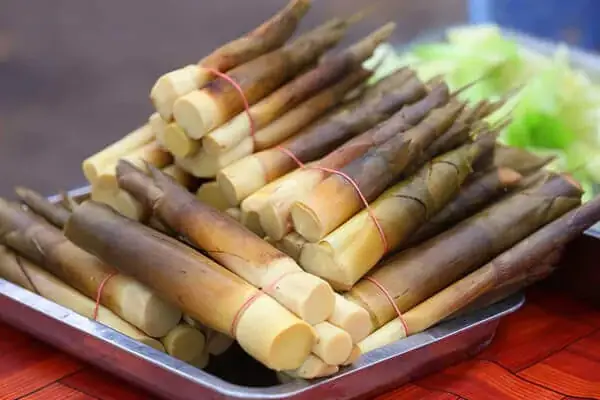 Các Món Từ Măng Tre