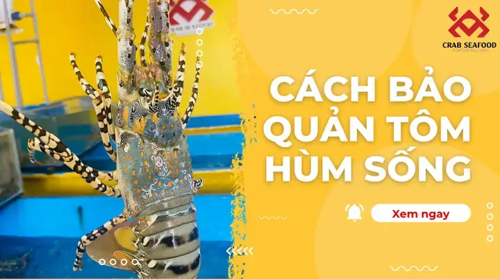 Cách Bảo Quản Tôm Đã Nấu Chín