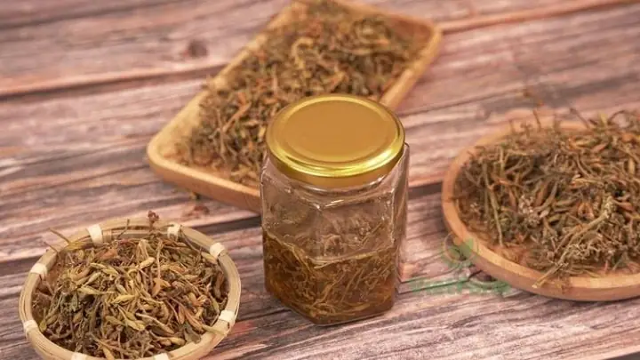 Cách Dùng Hoa Đu Đủ Đực Ngâm Mật Ong