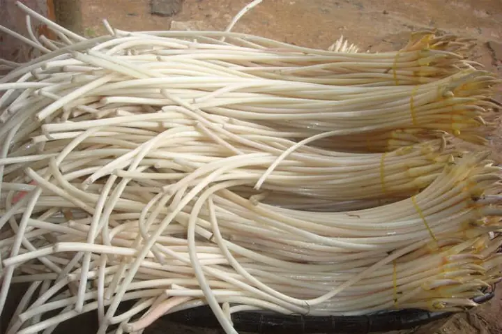 Cách Làm Ngó Sen Trắng Giòn