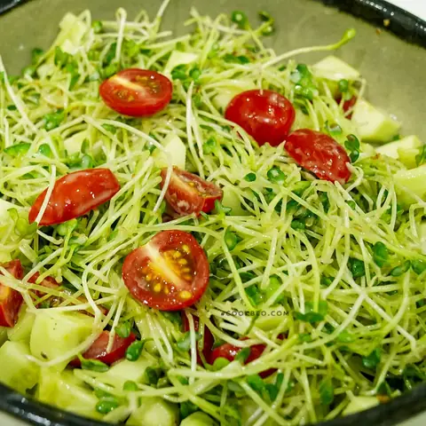 Cách Làm Salad Rau Mầm
