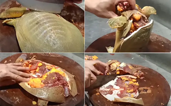 Cách Nấu Ba Ba Ngon