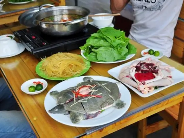 Cách Nấu Ba Ba Với Thịt Gà
